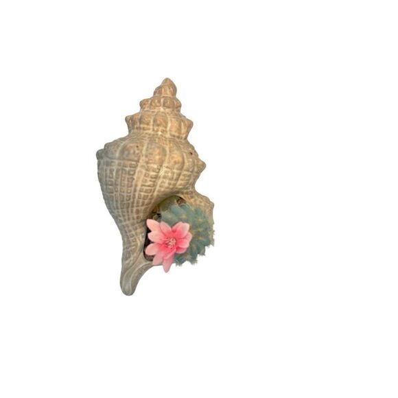 Handmade seashell letter I with a shell planter - Picture 13 of 13